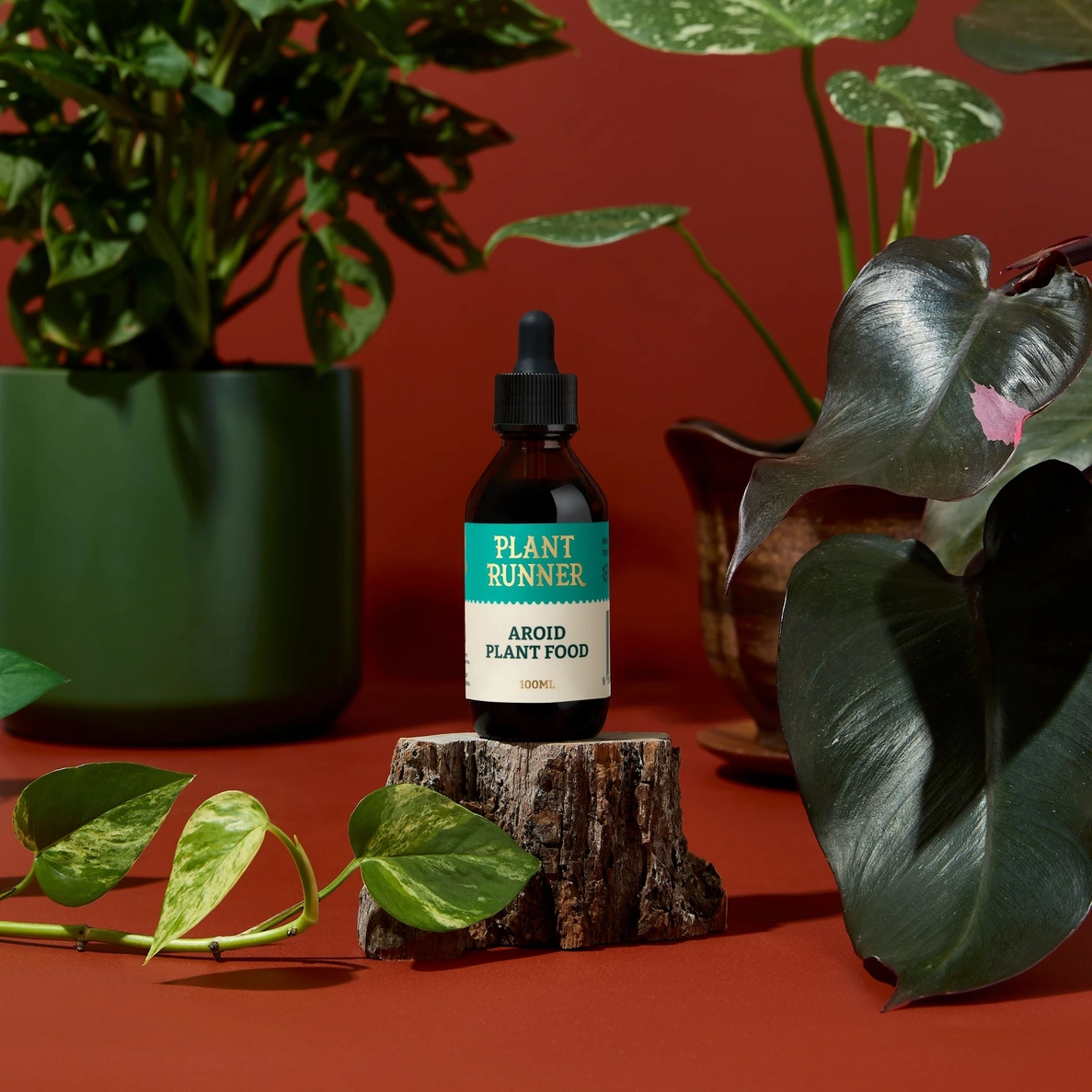 The Plant Runner Aroid Plant Food