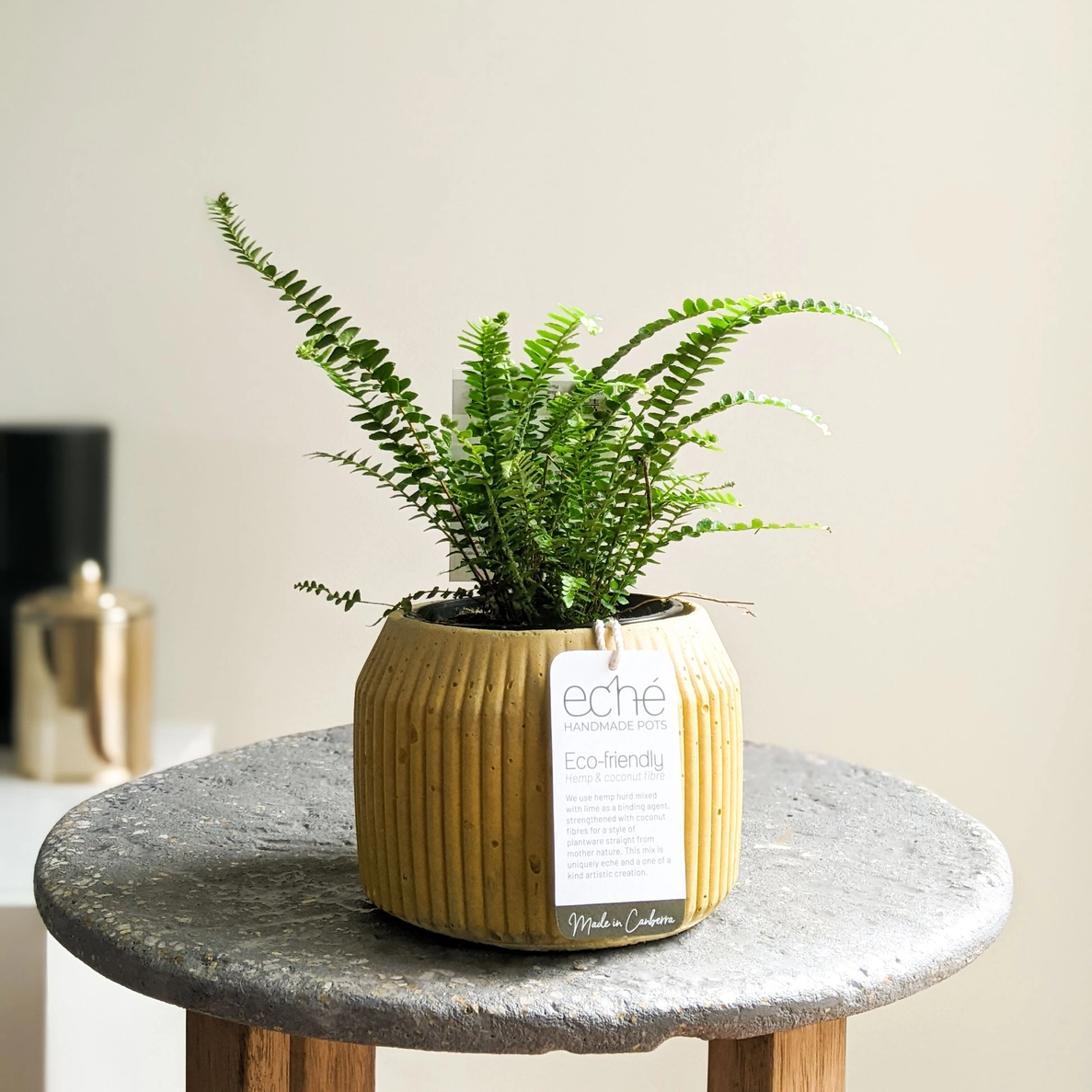 Rib Pot – Small (Fits 100mm Grow Pot)