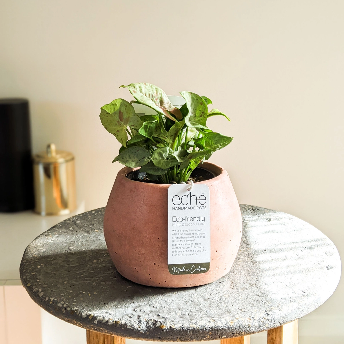 Koala Pot – Small (Fits 100mm Grow Pot)