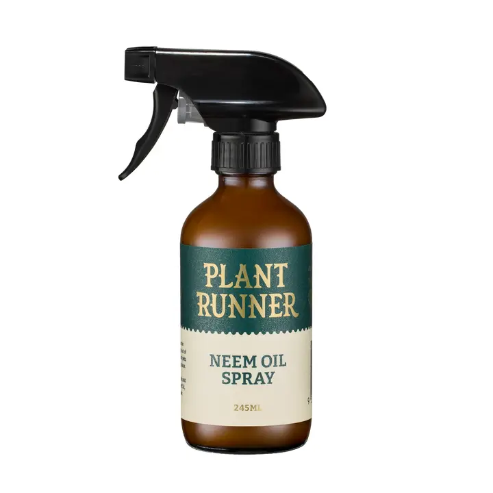 The Plant Runner Neem Oil Leaf Shine