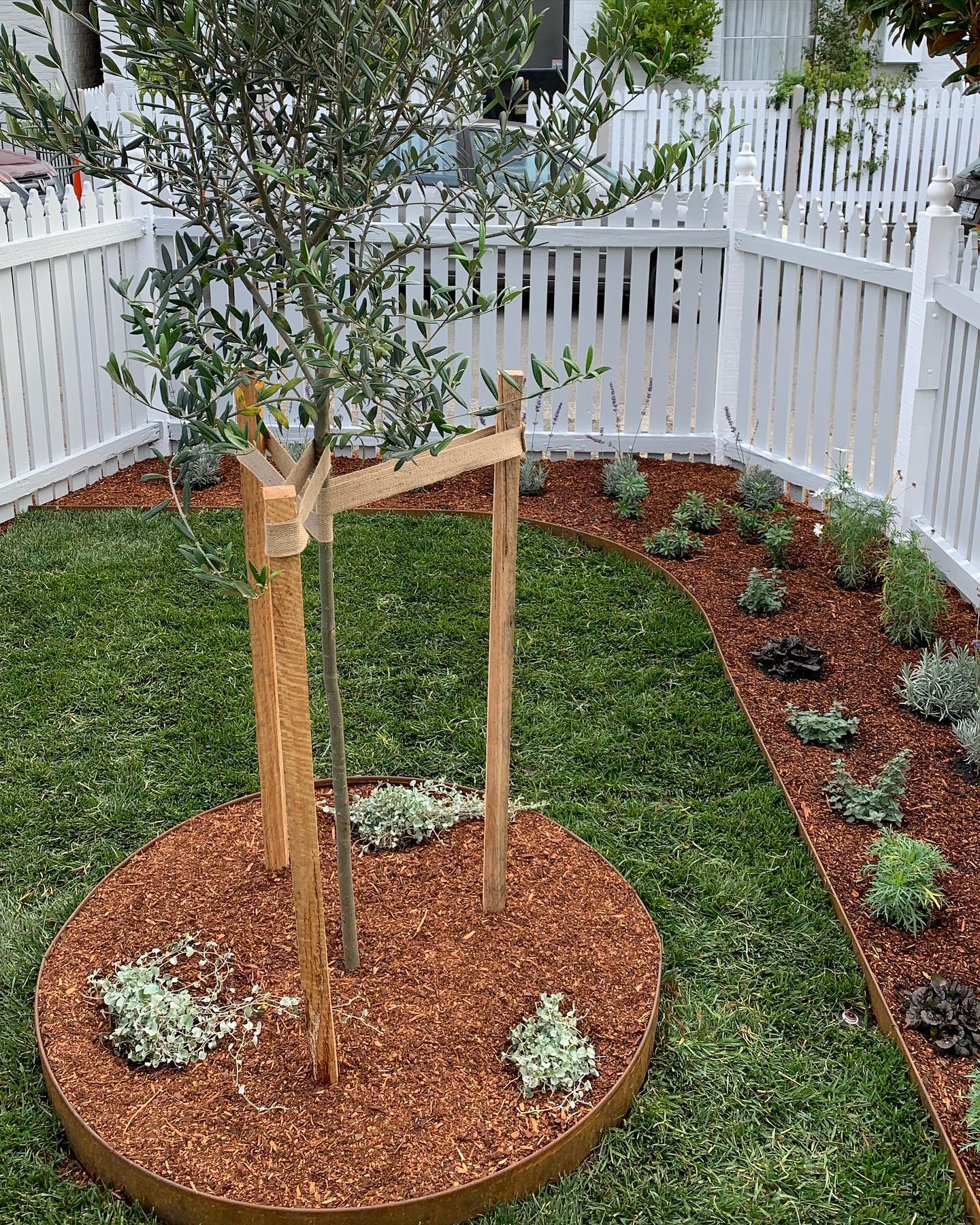 Corten Steel Tree Surround – 777mm Diameter (75mm, 100mm, 150mm)