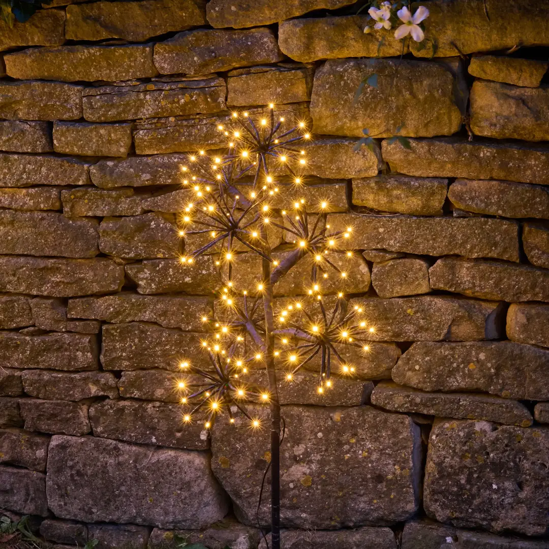 Solar Starburst Branch