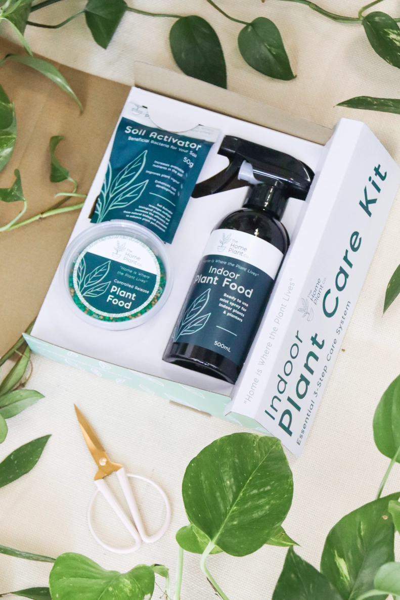The Home Plant Co - Indoor Plant Care Kit